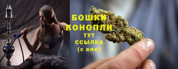 молекула духа Липки
