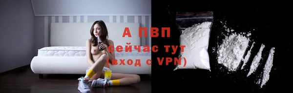 молекула духа Липки