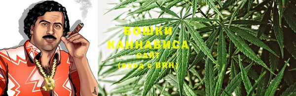 молекула духа Липки