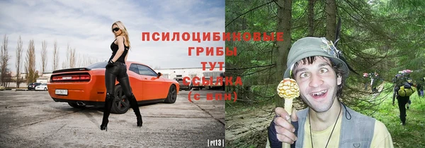 молекула духа Липки