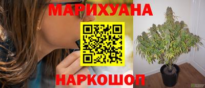 прущая мука Камышлов