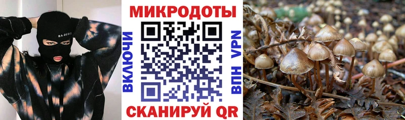 Псилоцибиновые грибы мицелий  дарк нет телеграм  Шумерля  купить наркотик 