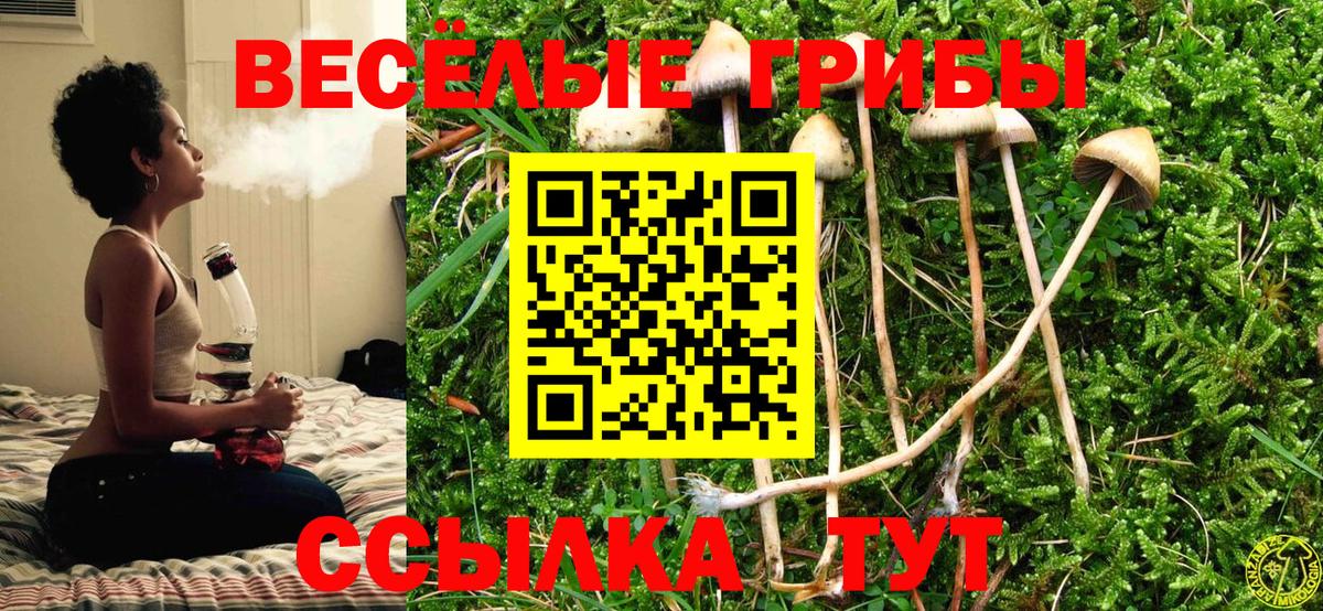 Галлюциногенные грибы Cubensis  Шумерля 