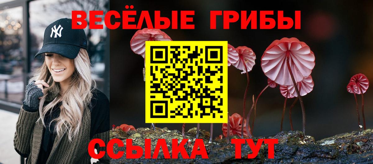 Шумерля  Галлюциногенные грибы MAGIC MUSHROOMS  Вход с VPN  Псилоцибиновые грибы MAGIC MUSHROOMS 