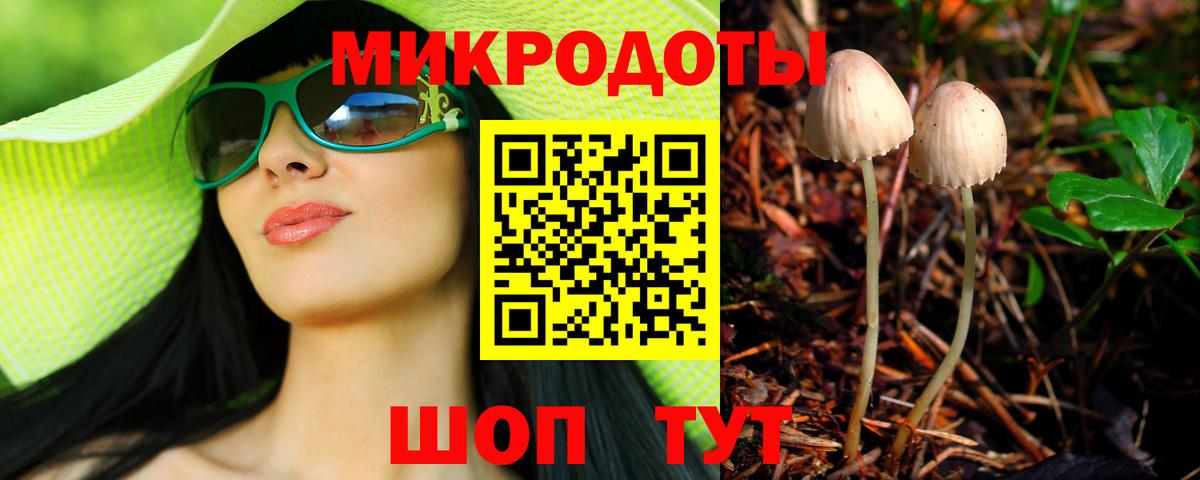 Псилоцибиновые грибы Cubensis Шумерля