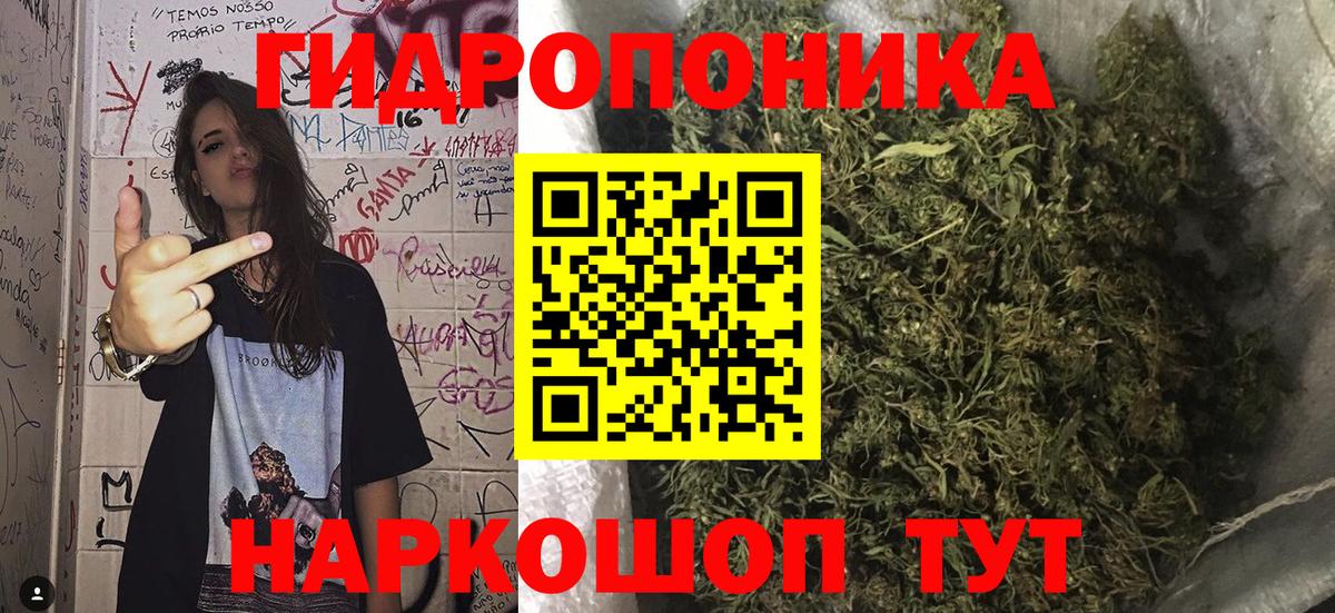 Каннабис ГИДРОПОН  Шумерля  Каннабис White Widow  МАРИХУАНА Amnesia 